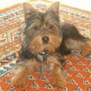 Meet your Posher, Gina